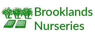 Brooklands Plant Nurseries